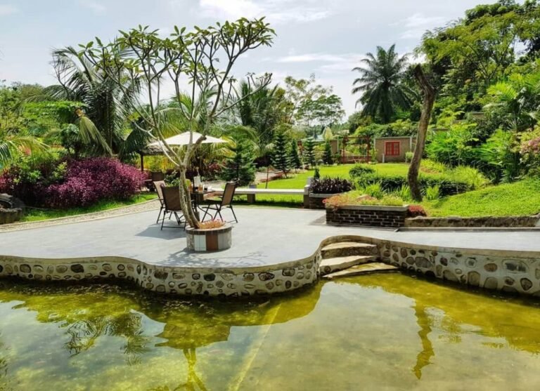 008f46c73ed432cd36d4e20bfc8fb3bc 768x557 1