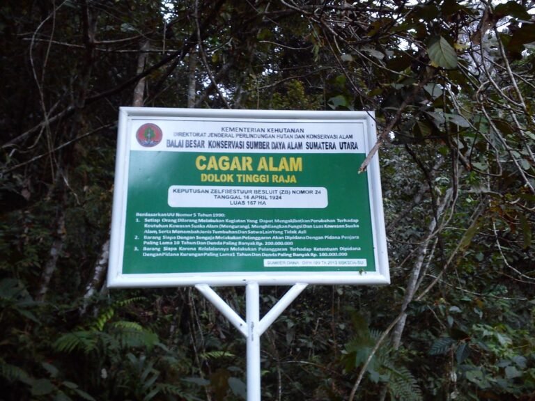 1200px Penanda tinggi raja 768x576 1