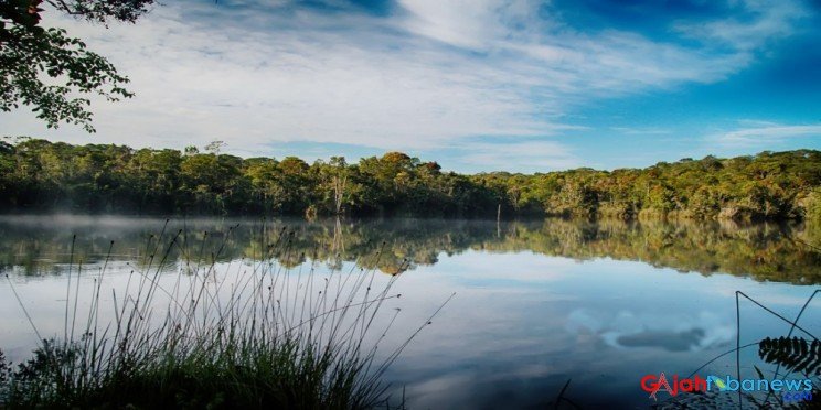 312f1ba2a72318edaaa995a67835fad5 XL