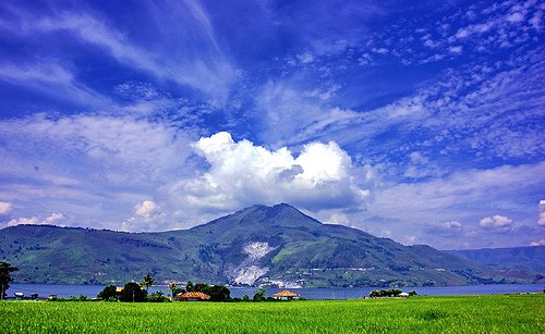 499367099 3ea300190b