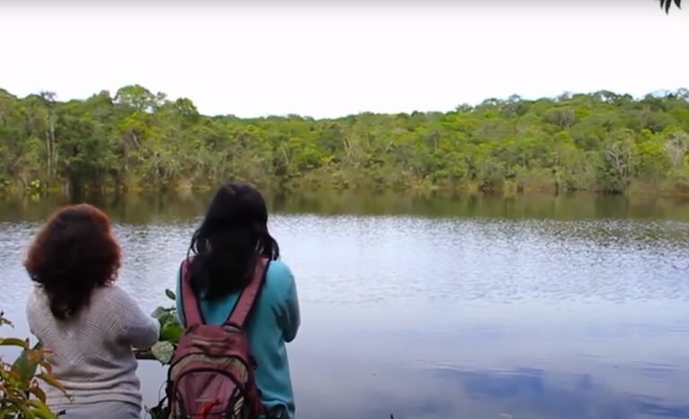 WhatsApp Image 2020 09 02 at 16.50.22 768x468 1