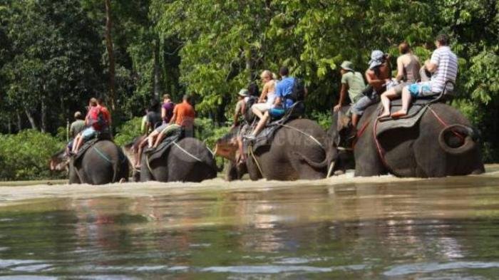 beberapa orang turis mancanegara tangkahan 20160325 184332