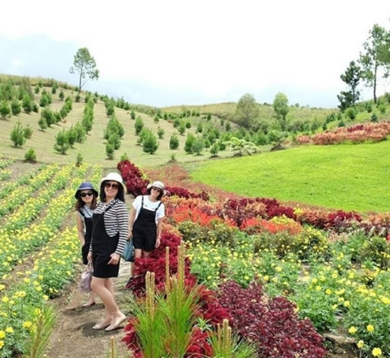 harga penginapan di sapo juma 1 768x705