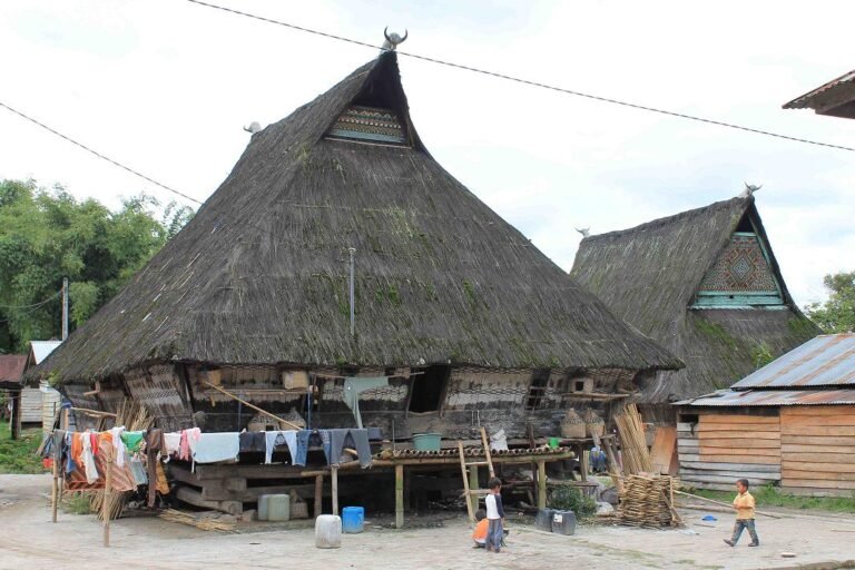 img 1341 copy1 768x512 1