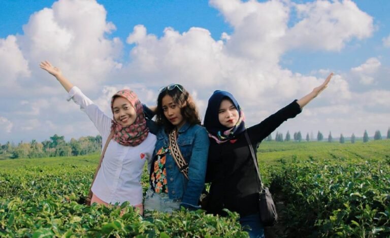 kebun teh Bah Butong 1024x625 1 768x469 1