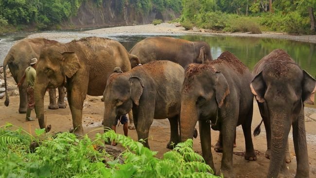 kemenpar iklan 1 169 1