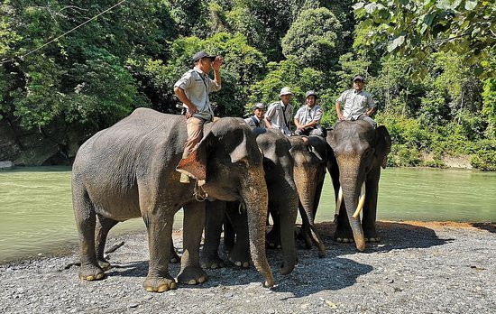 sloni trek a myti tangkahan 1