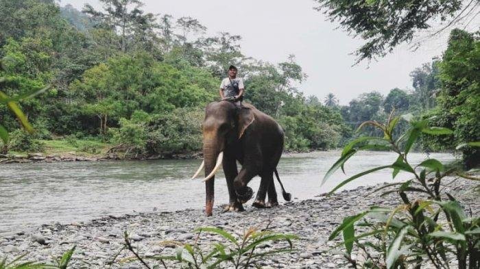 tangkahan wisata 2 1