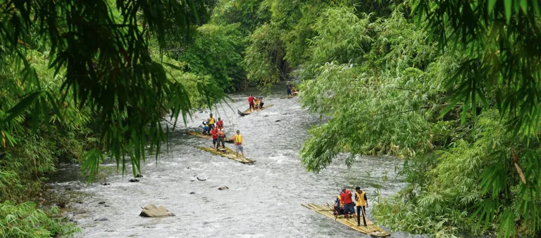 banner loksado 768x338 1