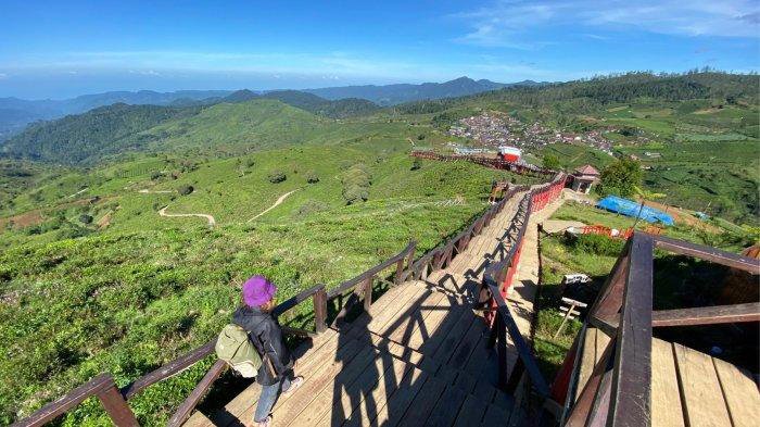 Camping Ground Kekinian di Pangalengan Bandung, Sajikan View Indah dan Suasana Romantis, Ini Tarifnya