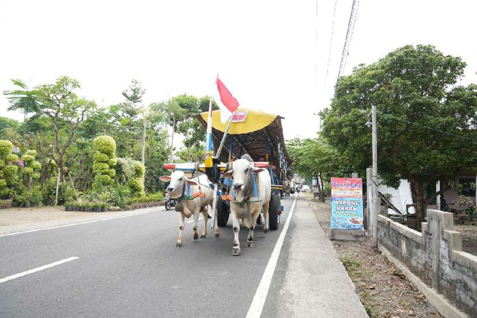 Jadi Daya Tarik Wisata, Begini Sejarah Gerobak Sapi Yogyakarta yang Diakui UNESCO