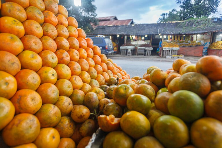 1 TONGGING 10 2 768x512