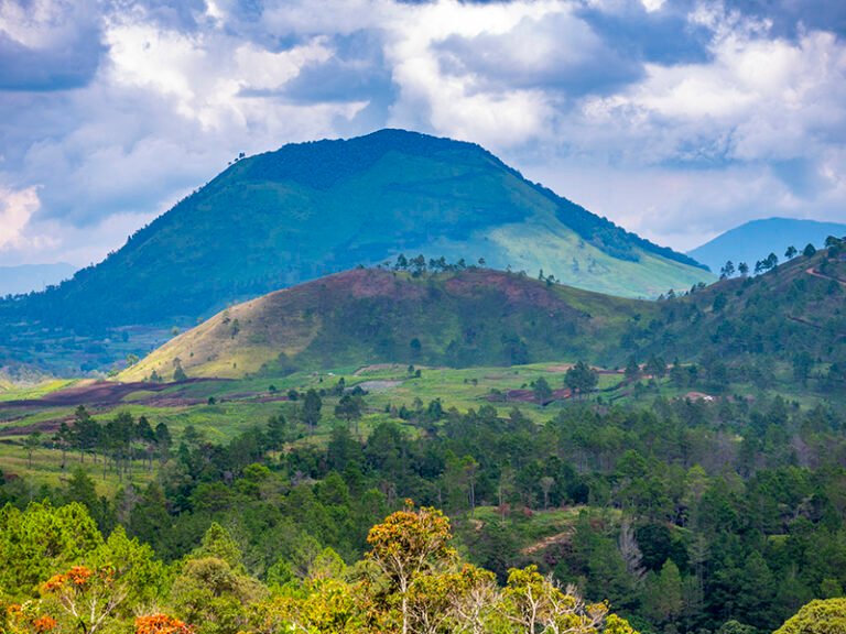 1 TONGGING 5 2 768x576