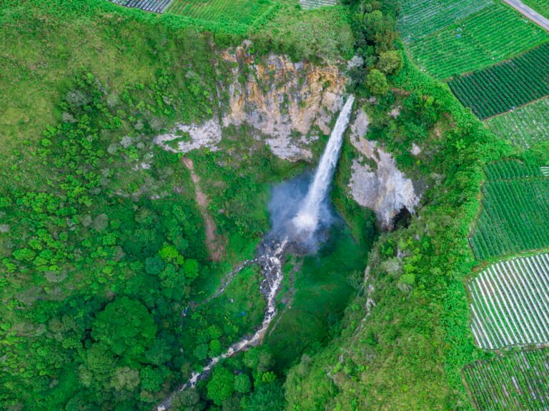 1 TONGGING 6 2 768x576