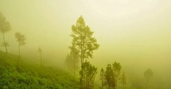 Taman Wisata Alam Sijaba Huta Ginjang6