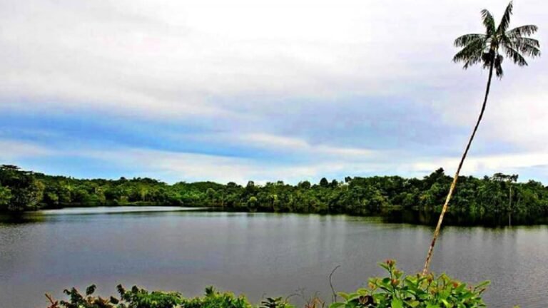 Tao Silosung2 768x432