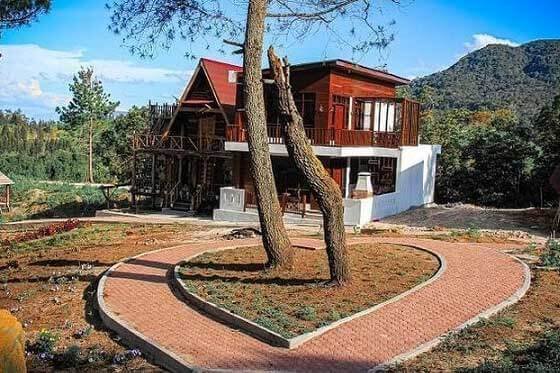 maulana cafe and villa