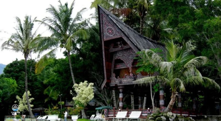 hotel carolina3 768x419