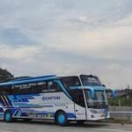 PO Sentosa & PO Sejahtera