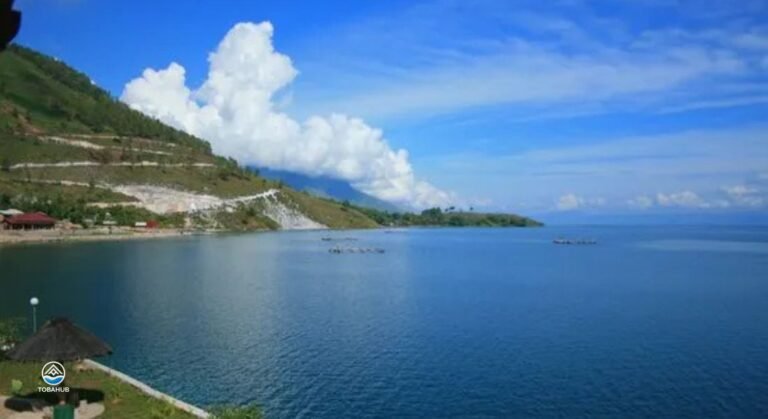 saulina resort3 768x419